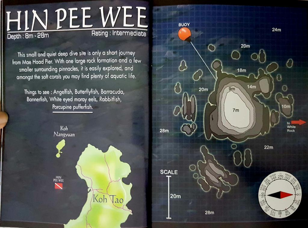 fun - KOH TAO in 태국_AsiaDivers - Hin Pee Wee