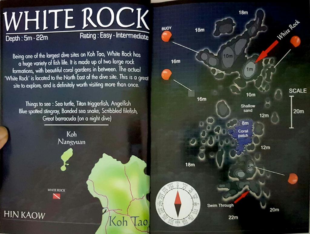 fun - KOH TAO in 태국_AsiaDivers - White Rock