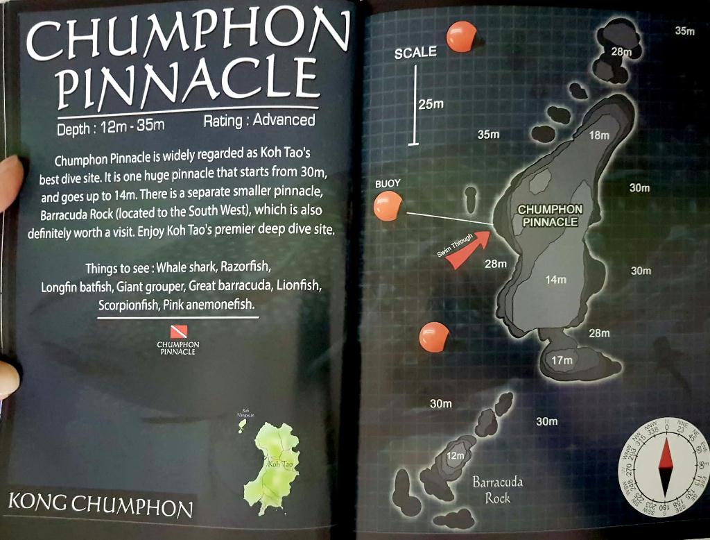 fun, check - KOH TAO in 태국_AsiaDivers - Chumphon Pinnacle