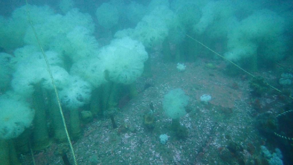 관광 - 양양 하슬라스쿠버 - 용궁