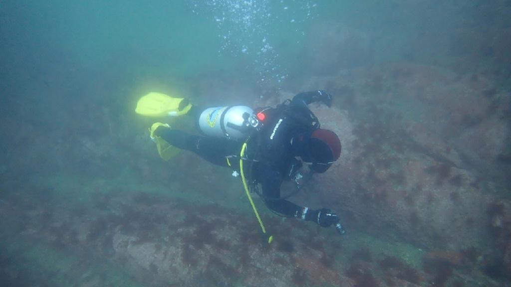 관광 - 양양 하슬라 스쿠버