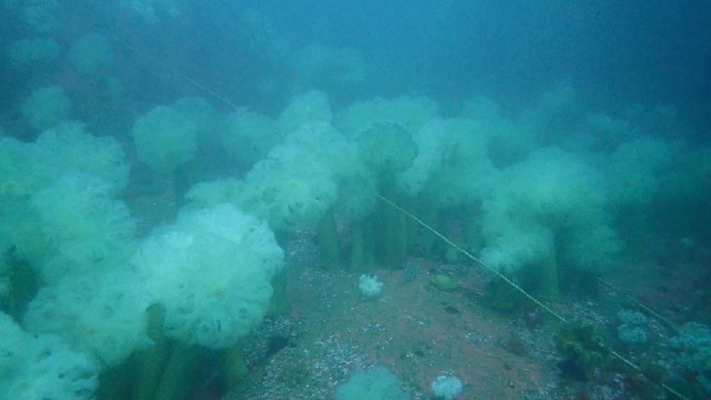 관광 - 양양 하슬라스쿠버 - 용궁