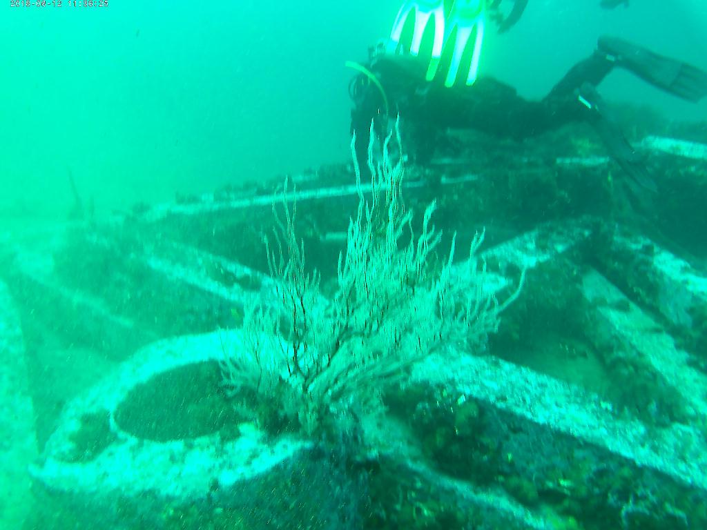 펀다이빙  - 고성 로맨틱다이브 - 무너진 사각어초