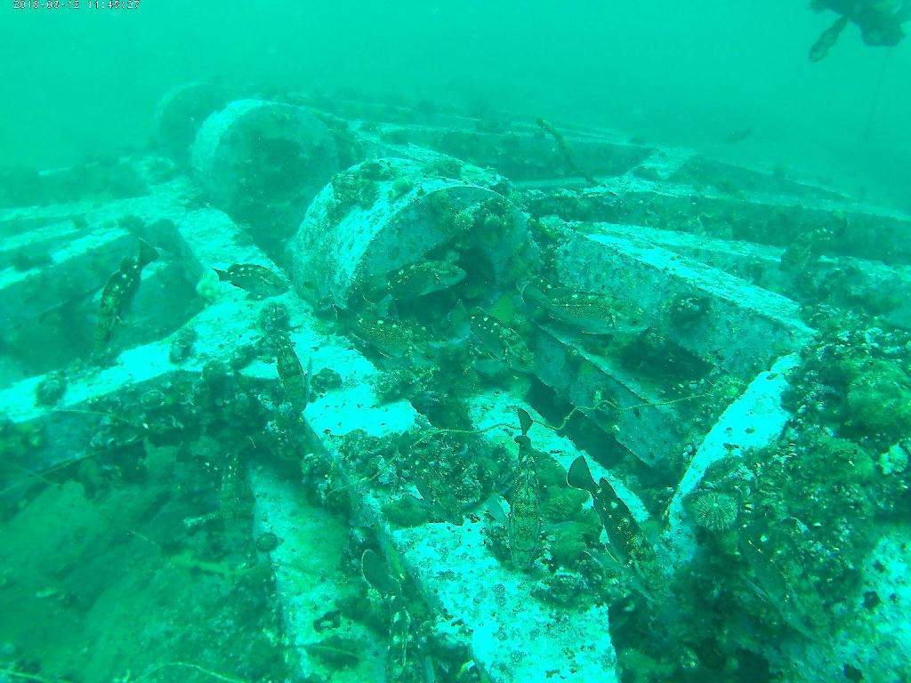 펀다이빙  - 고성 로맨틱다이브 - 무너진 사각어초