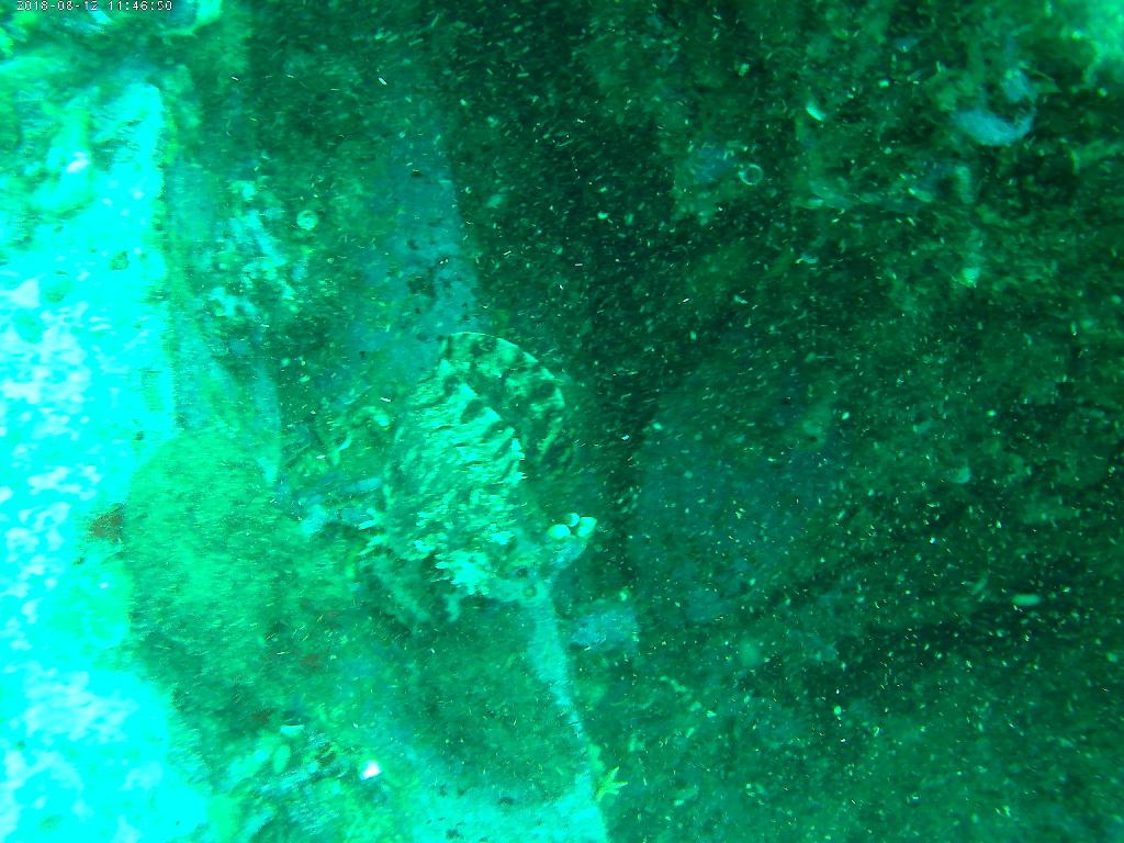 펀다이빙  - 고성 로맨틱다이브 - 무너진 사각어초