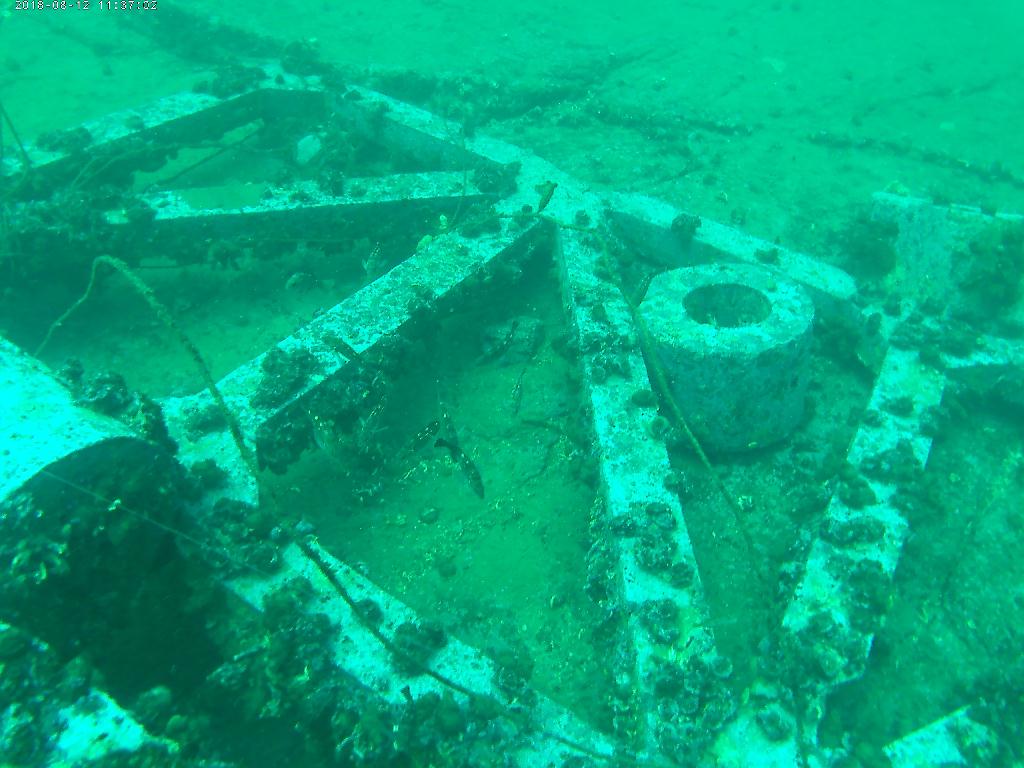 펀다이빙  - 고성 로맨틱다이브 - 무너진 사각어초