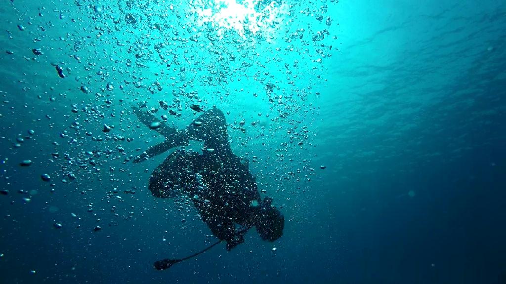 교육/수중촬영 - 홍도 23M