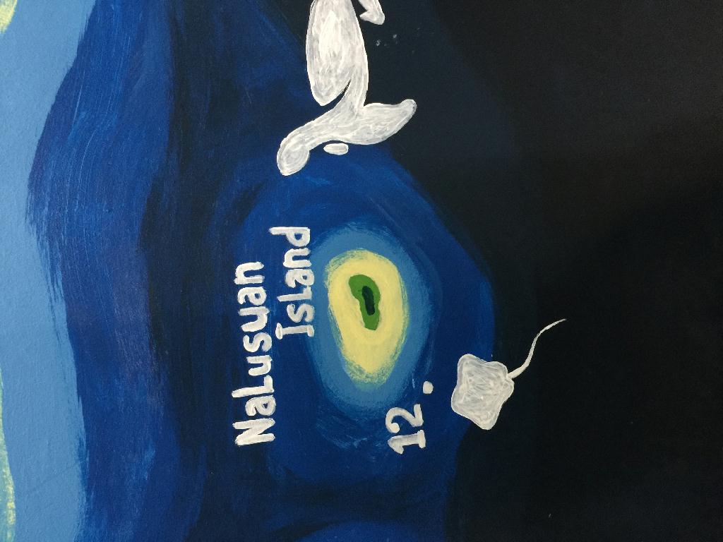 세부 오션플레이어  - Nalusuan Island