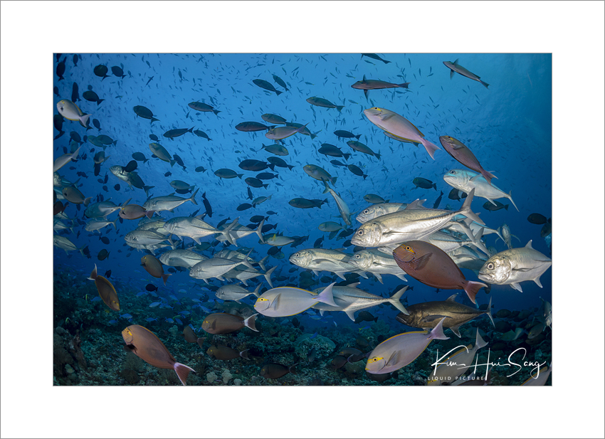 Komodo, Indonesia - Castle Rock