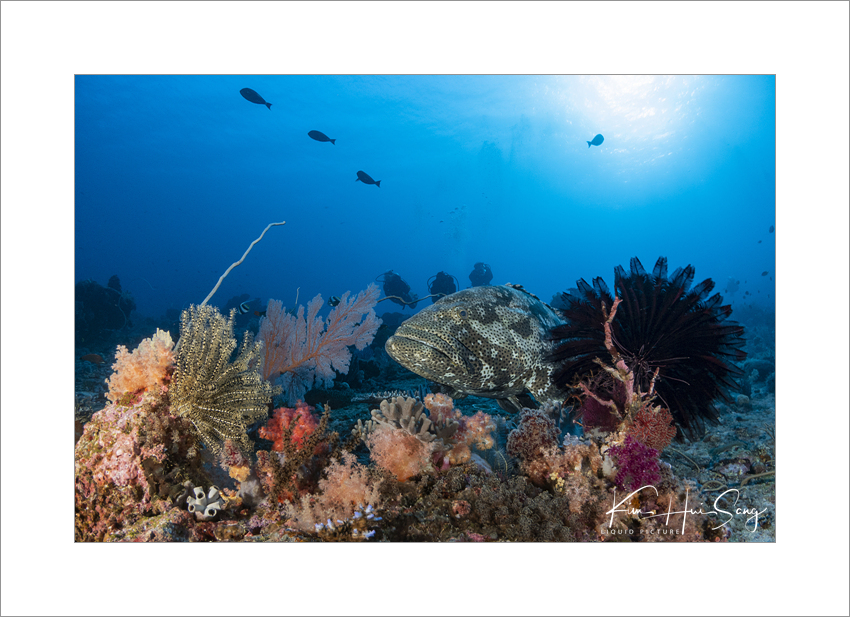 Komodo, Indonesia - Crystal Rock
