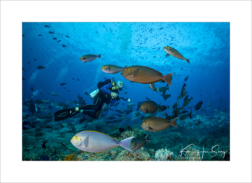 Komodo, Indonesia - Castle Rock