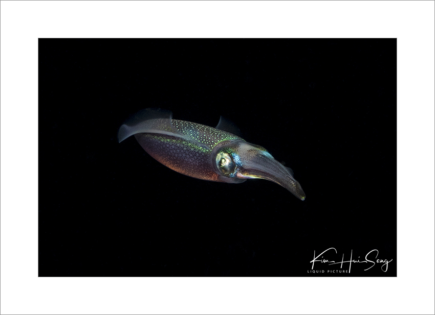 Komodo, Indonesia - Gili Lawa Darat