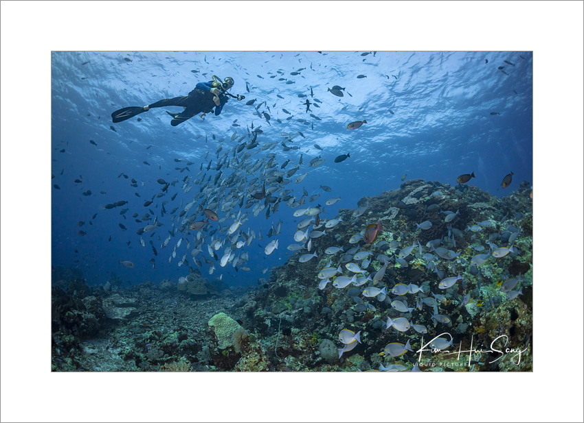 Komodo, Indonesia - Castle Rock