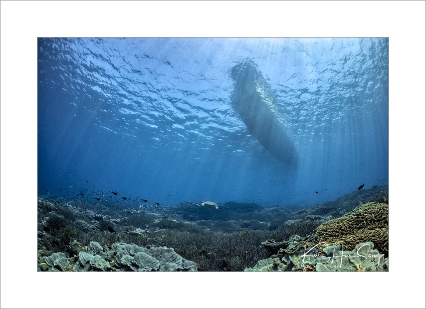Komodo, Indonesia - Karang Makassar