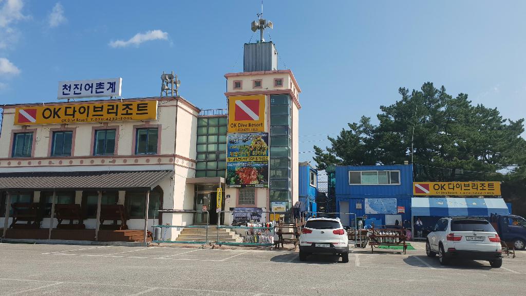 동해 다이빙