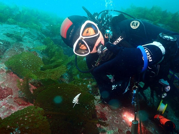펀다이빙 - 강원도 강릉_마린플래닛 - 트라이앵글가든