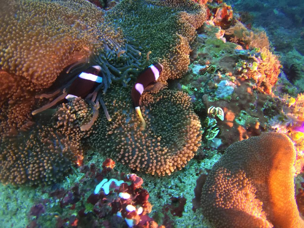 sabang  - hole in the wall