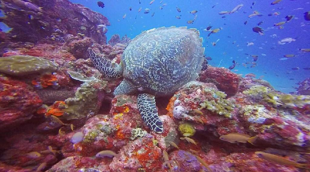 sabang  - hole in the wall