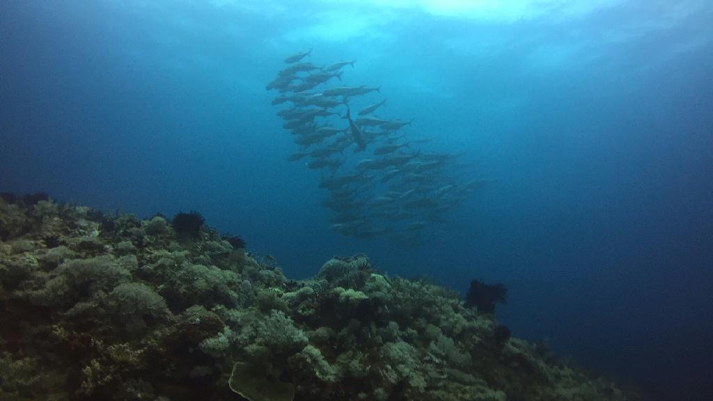 sabang  - hole in the wall