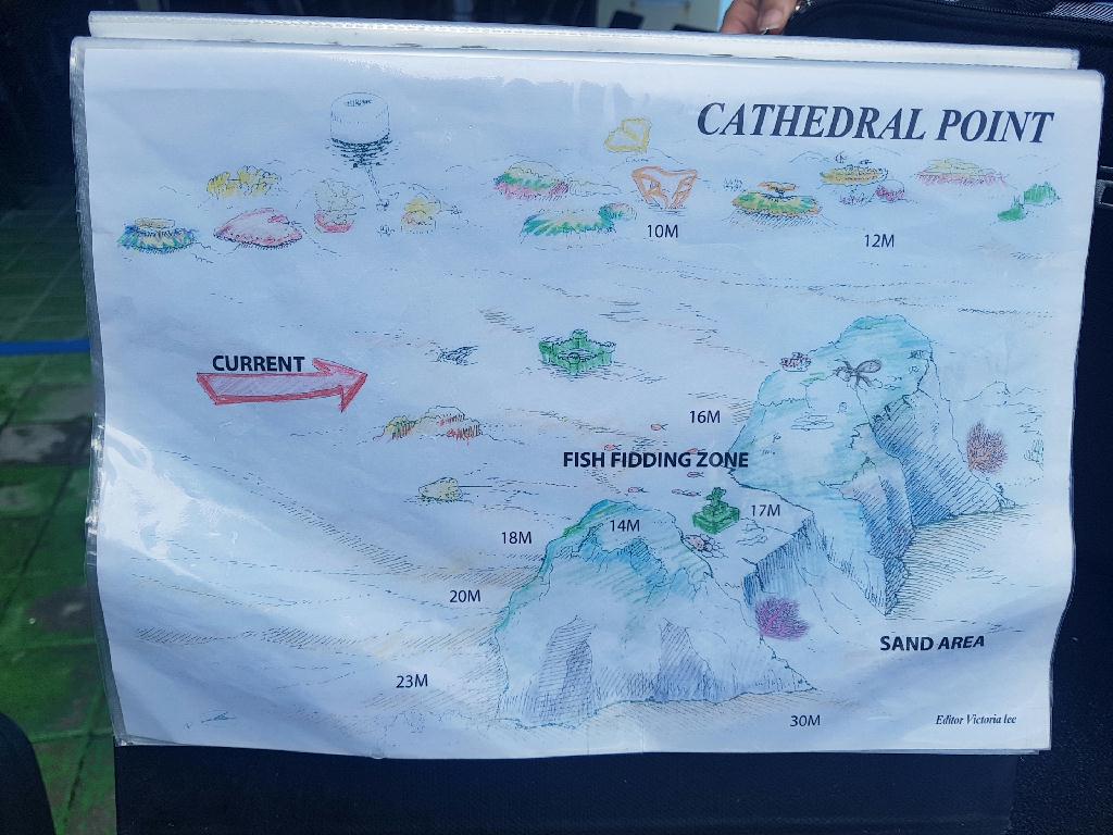 하강할 때 급하강해서 산호찍지않기 - 아닐라오 필리핀 - Cathedral Point