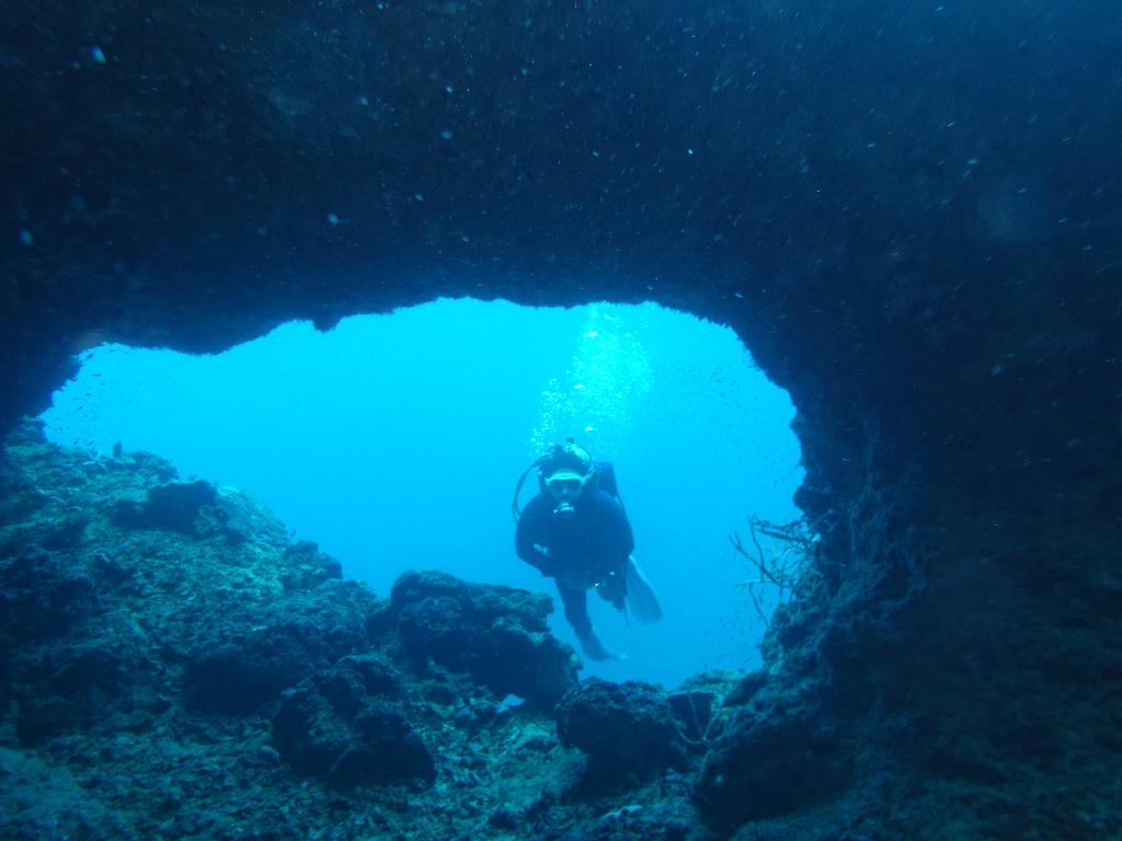 세부 모알보알[라이언다이브] - PESCADOR ISLAND