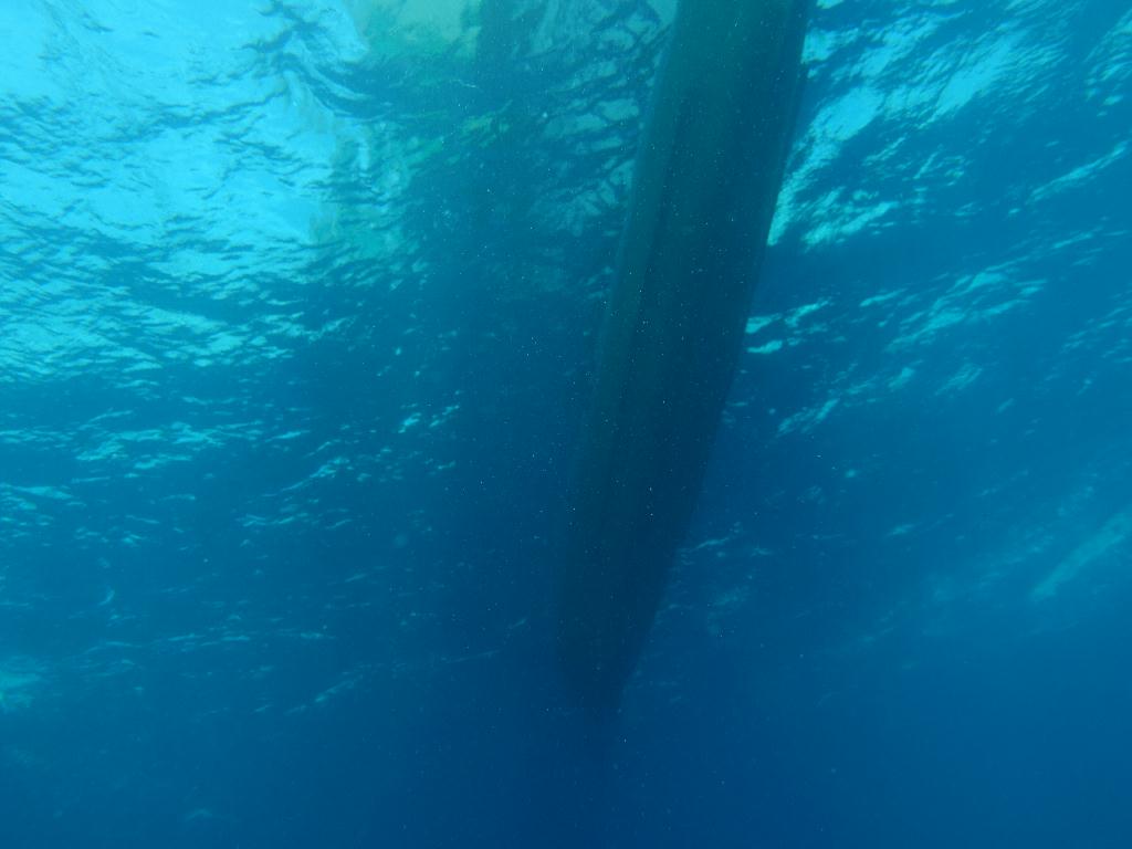 세부 모알보알[라이언다이브] - PESCADOR ISLAND