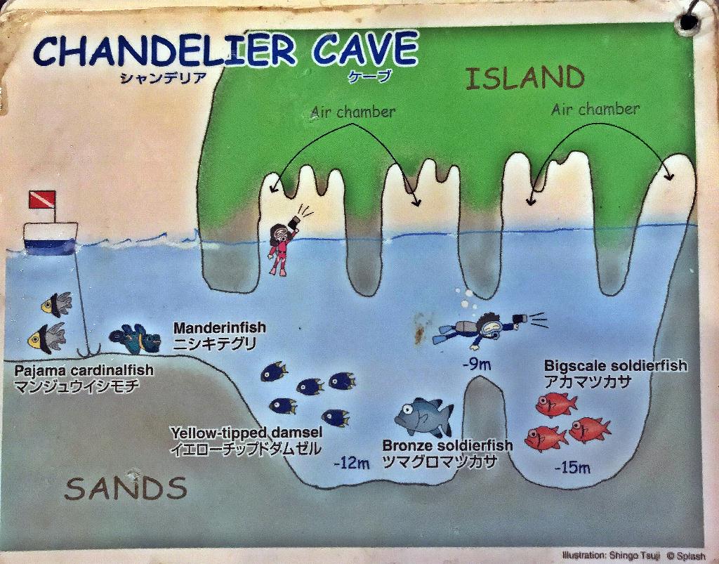 팔라우 - #36 CHANDELIER CAVE