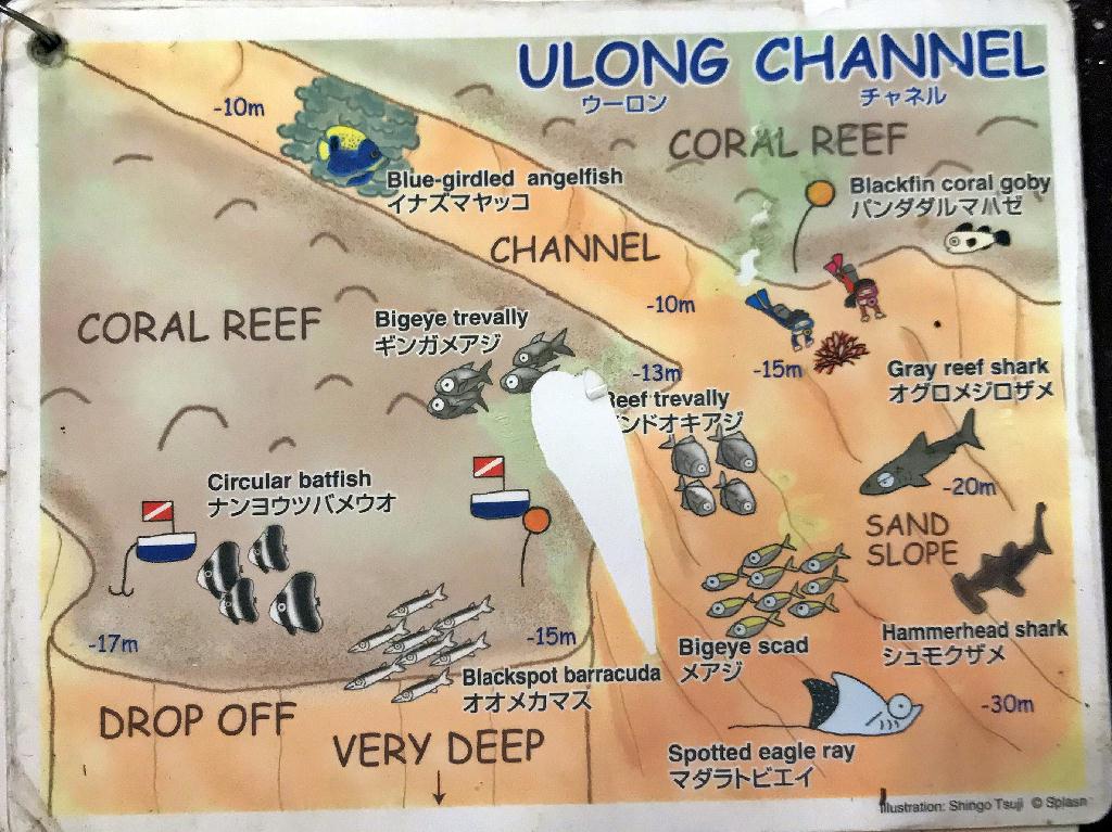 팔라우  - #32 ULONG CHANNEL