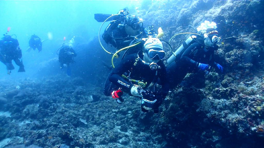 아닐라오 다이빙투어 - Anilao Kingkong Dive Resort - Beatriz Rock