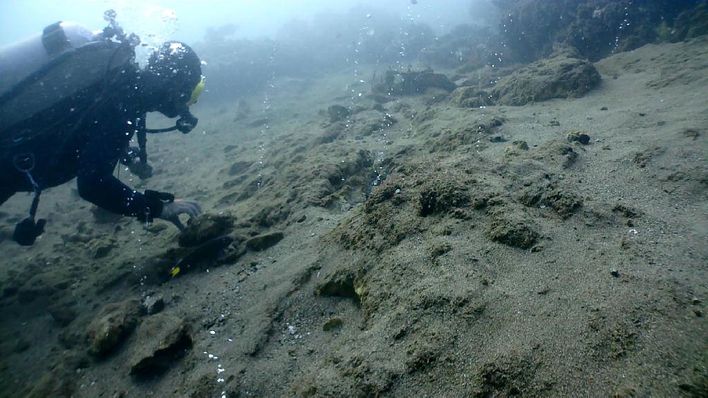 아닐라오 다이빙 - Anilao Kingkong Dive Resort - Bubble