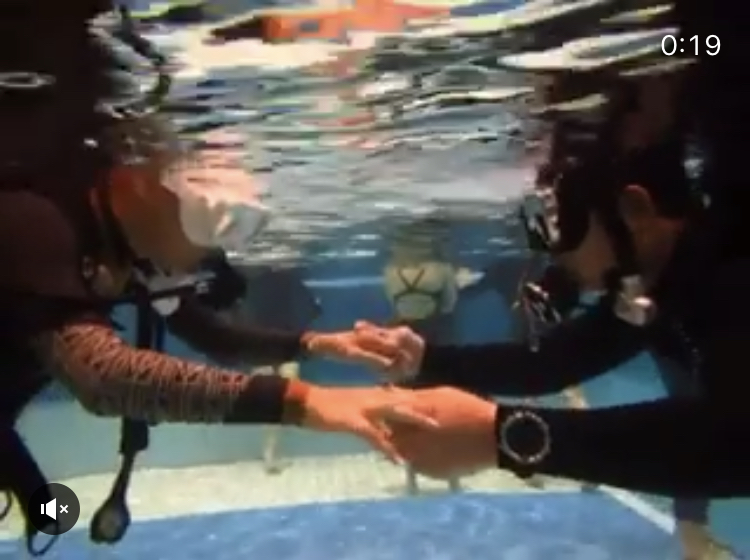 오픈워터교육  - 성남풀