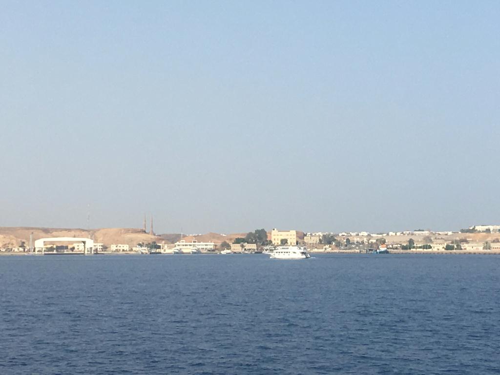 红海第一潜 - sharm el sheikh - Jack fish alley