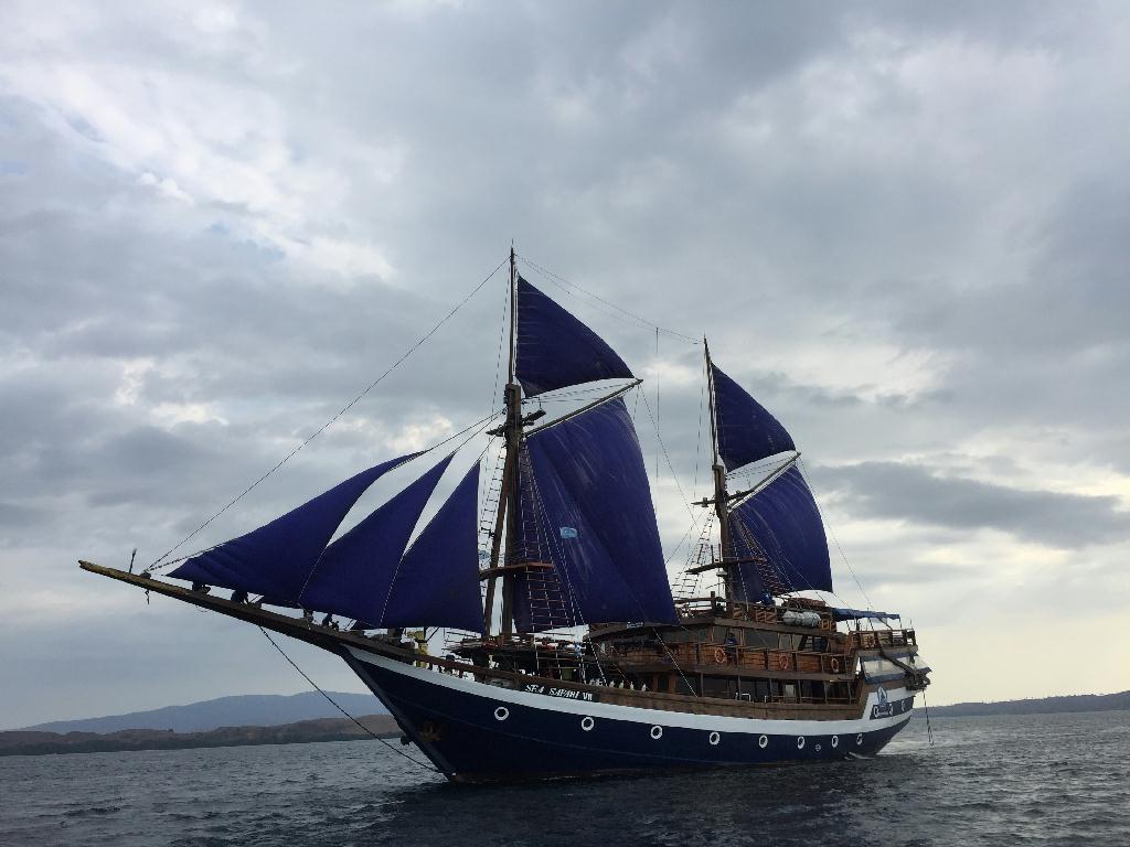 Fin diving - Komodo island - Tatawa Besar