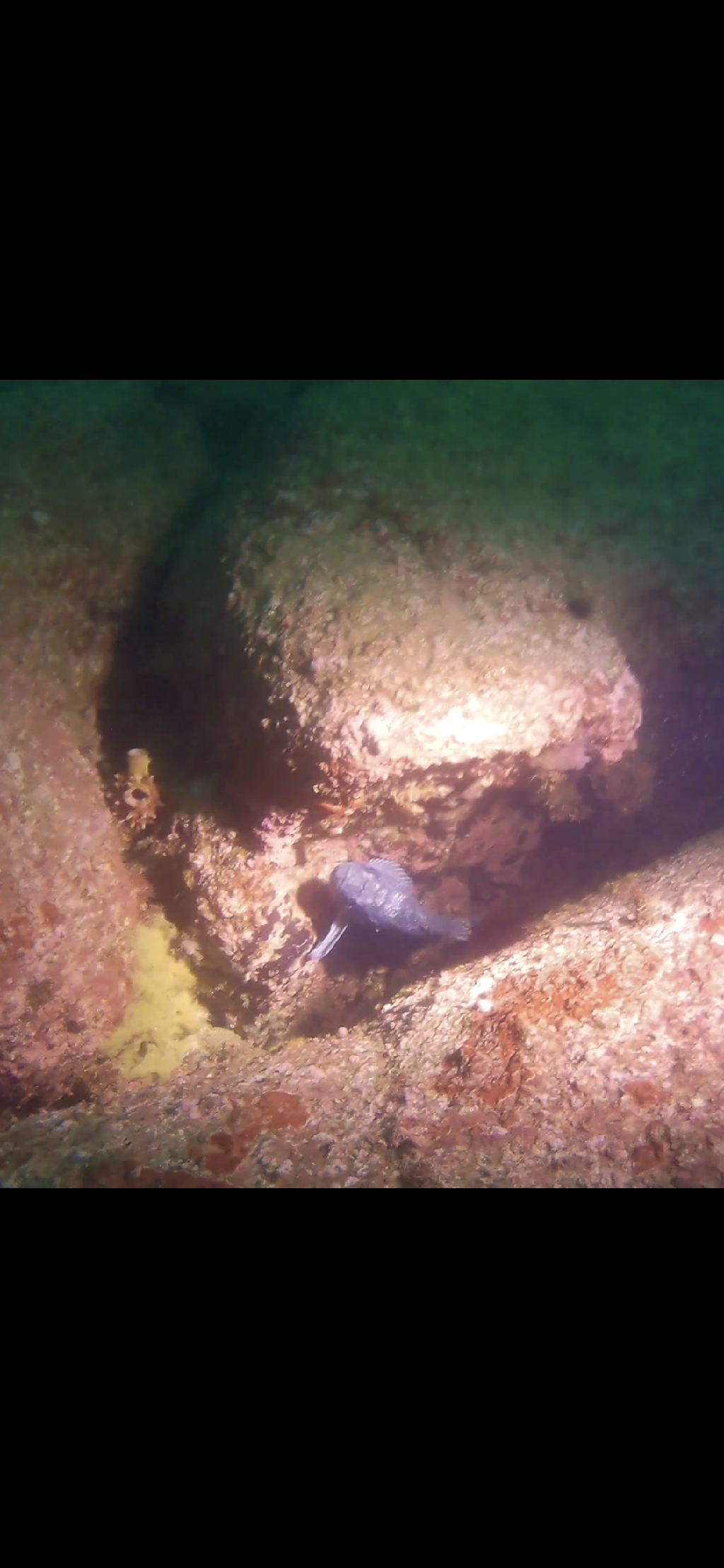 오케이다이브리조트 - 스몰케이브