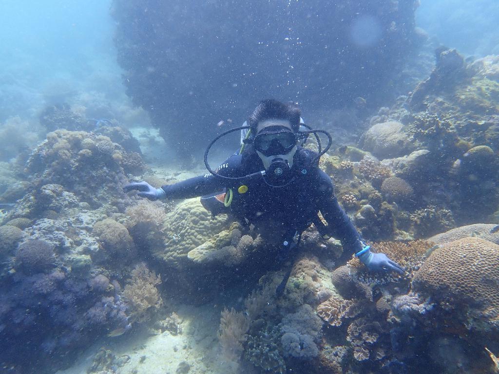 펀다이빙 - 사방비치 - 사방렉