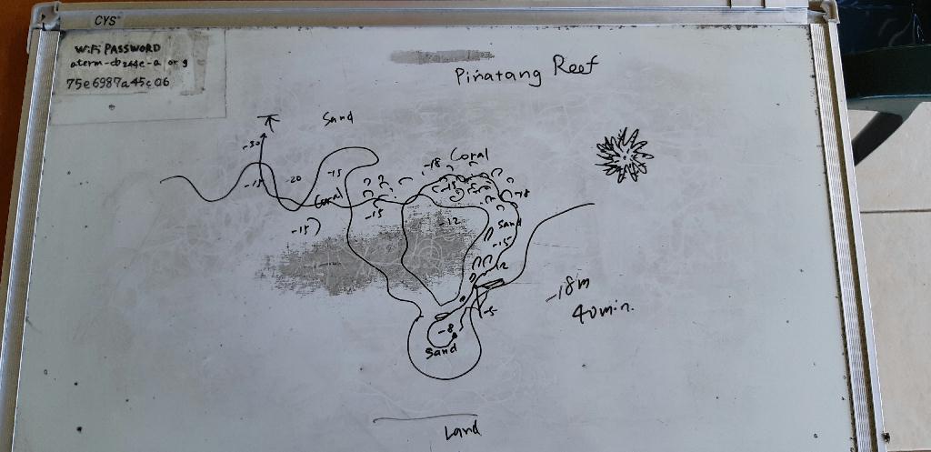 펀다이빙 - Rota island - Pinatang reef