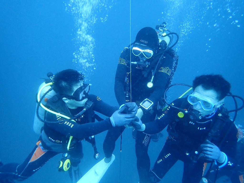 딥 다이빙 - 시방비치 - Alma jane