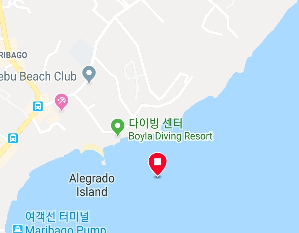 펀다이빙 - 세부 막탄 - 부용 바지