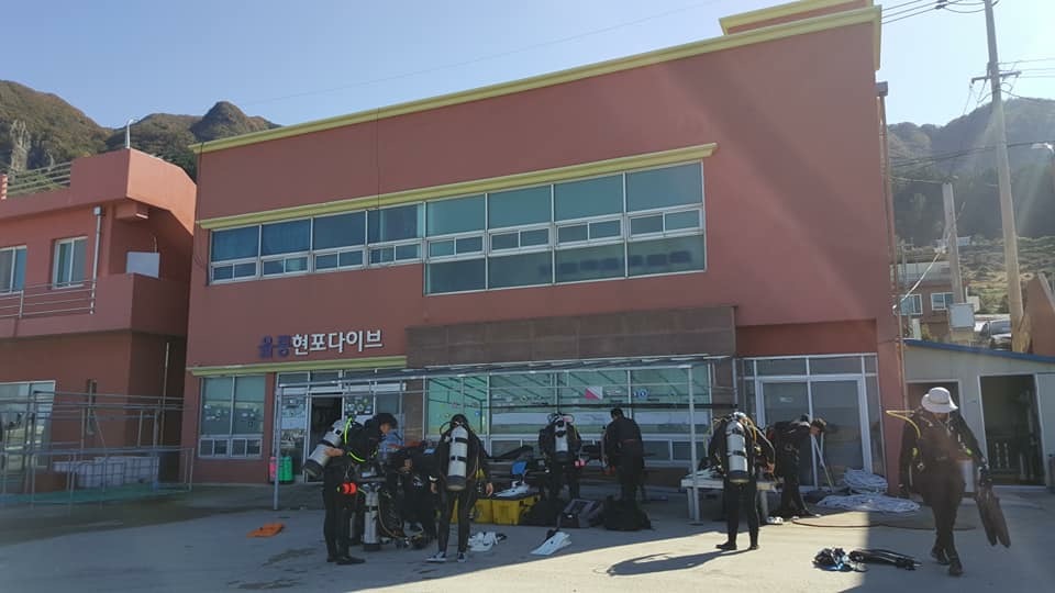 파아란바다 울릉도 투어 Day #1