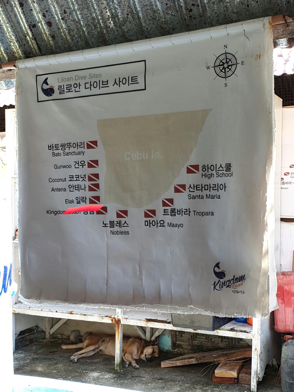 체크다이빙,산호 포인트 - 세부_Kingdom - 릴로안_일락