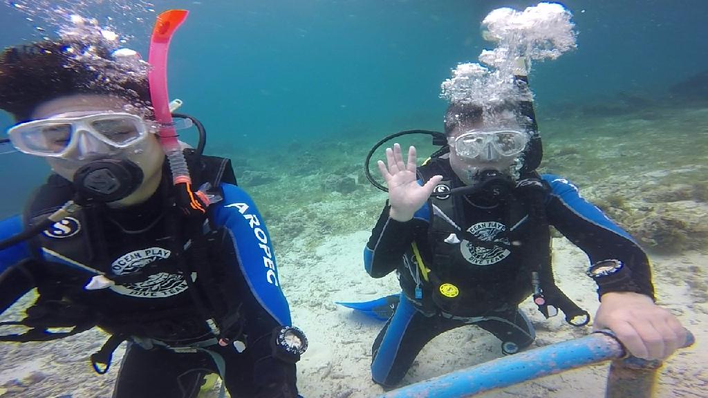 OW코스 개방수역3 - 세부 막탄 - 하우스리프