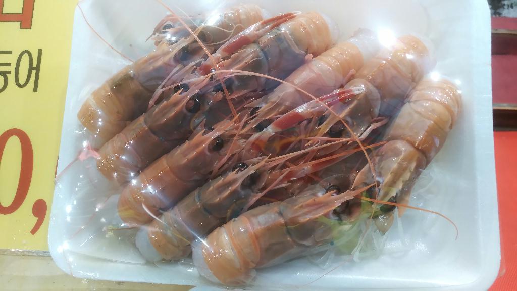 펀다이빙 - 제주 굿다이버 - 섶섬