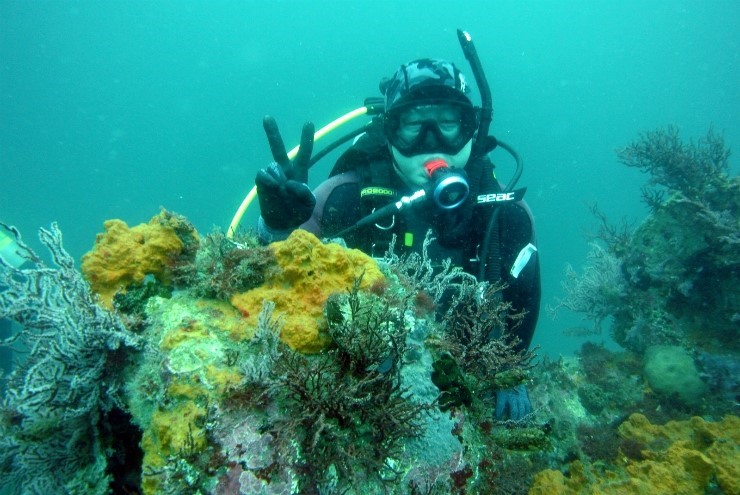 펀다이빙 - 강원도 강릉 마린플래닛 - 하우스리프