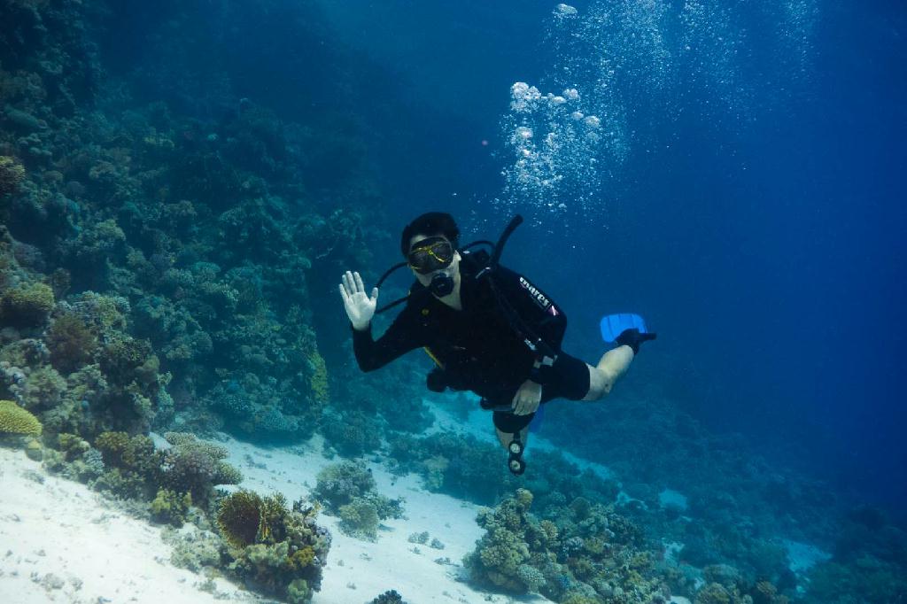 sharm el sheikh - gordon reef