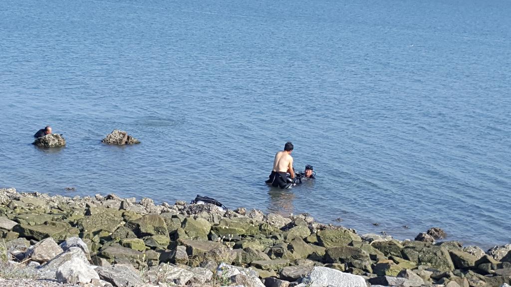 시화방조제 포인트답사 - 시화방조제 - 시화방조제 수자원에서 수문 중간포인트