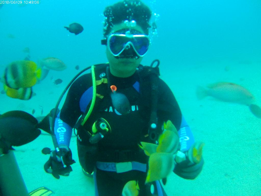 sabang - sabang wrecks