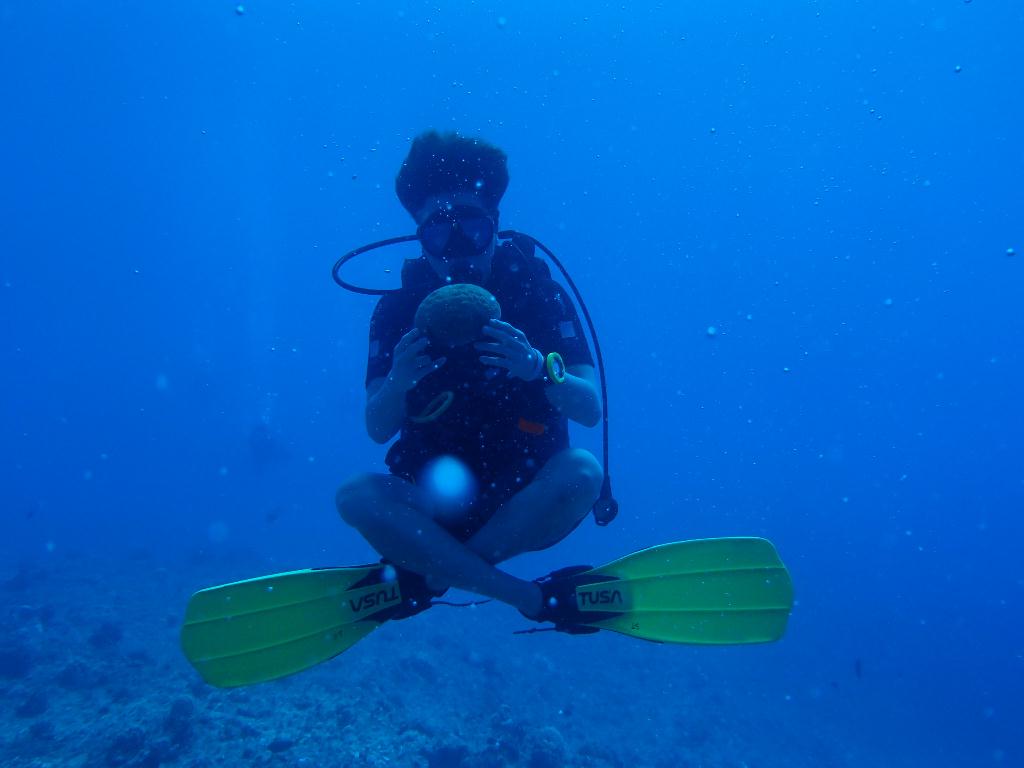 괌 자연암반 - 괌 (펀다이빙) - 괌 자연암반