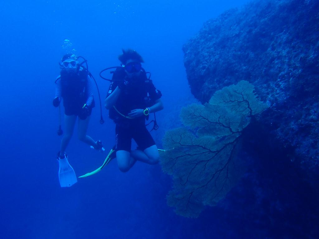 괌 자연암반 - 괌 (펀다이빙) - 괌 자연암반