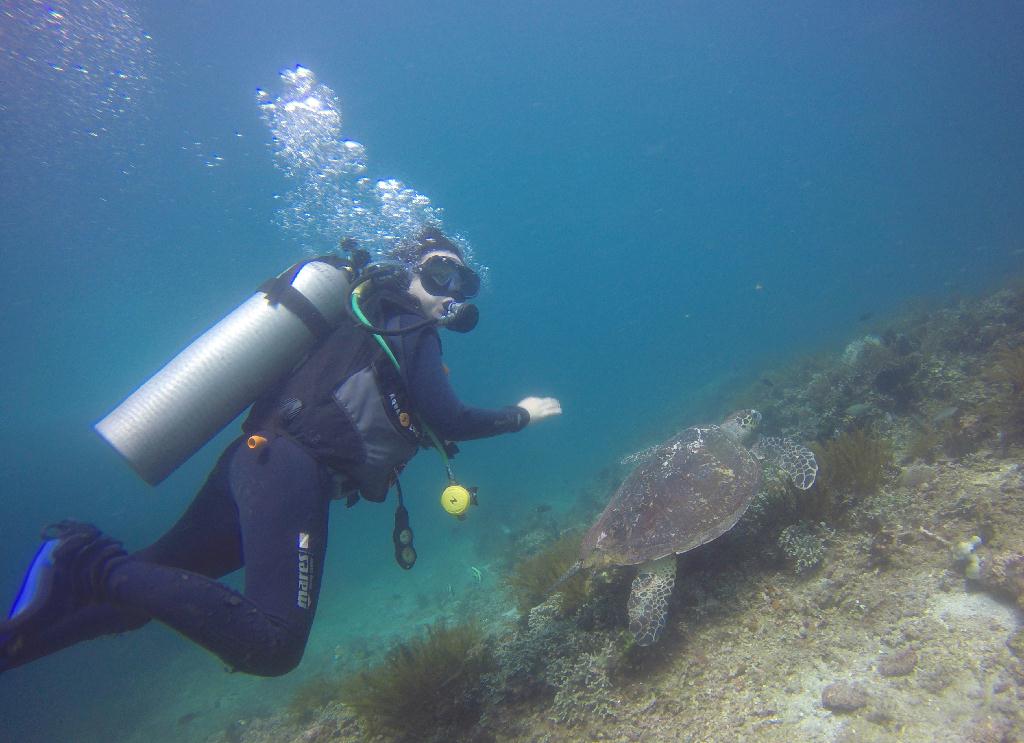 巴厘岛 - 沙努尔