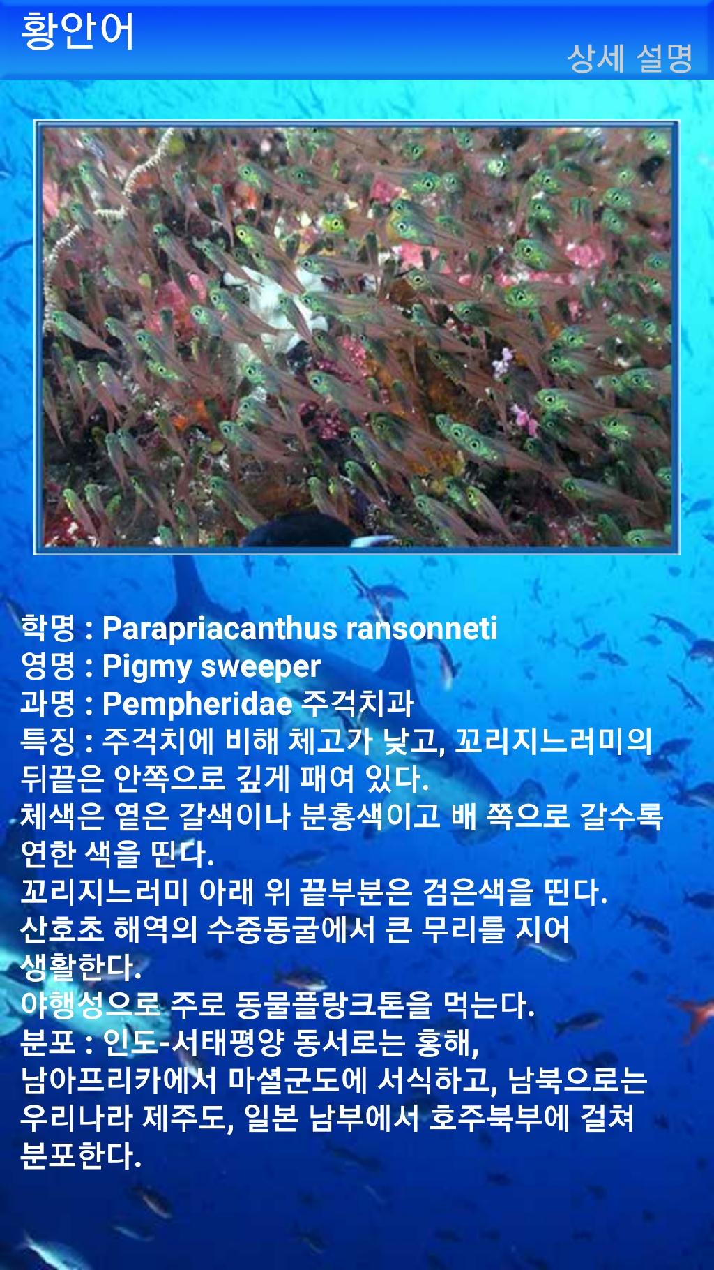 아메드 - 드롭오프